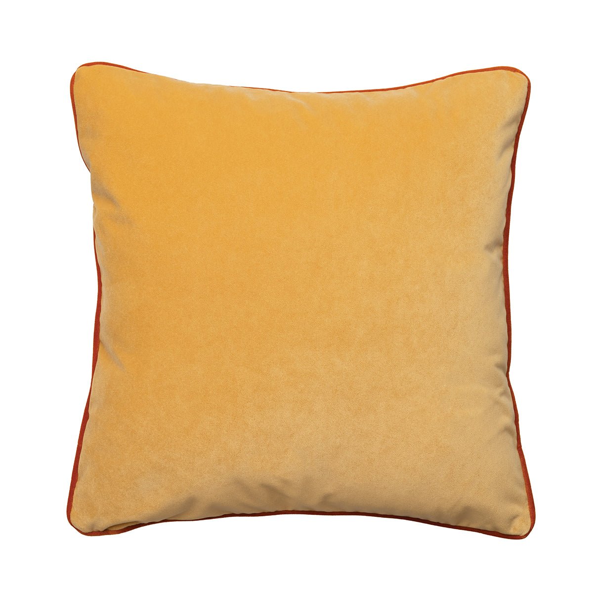 Lagoon Velvet 50cm Scatter Cushions