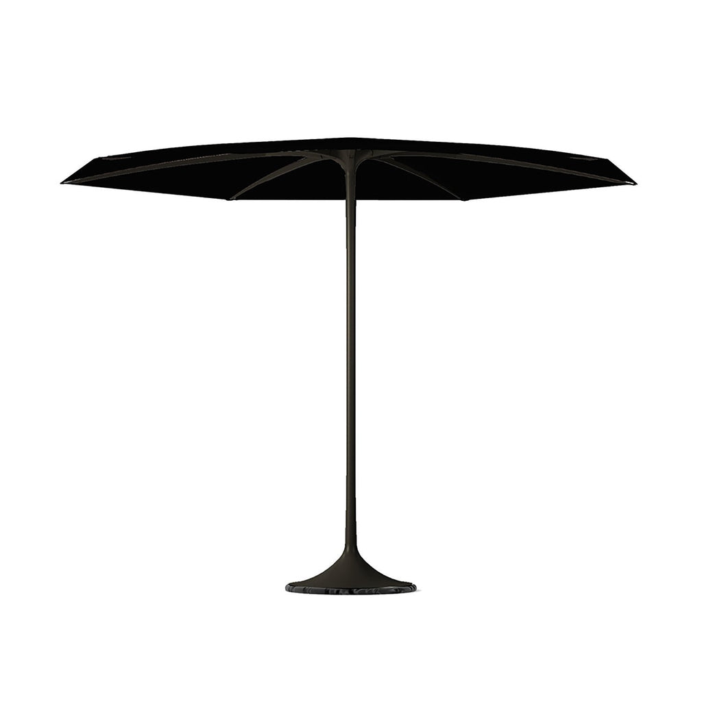 Palma parasol in black