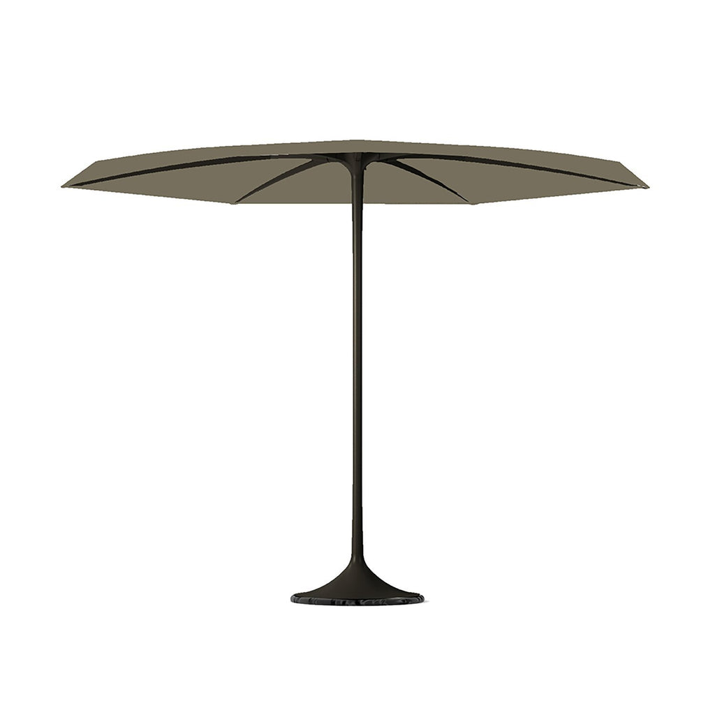The luxury palma parasol