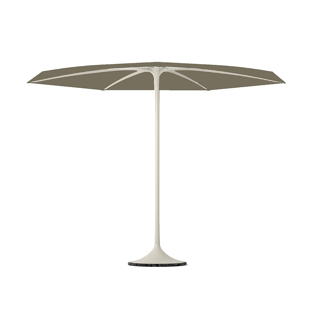 Palma parasol with white frame