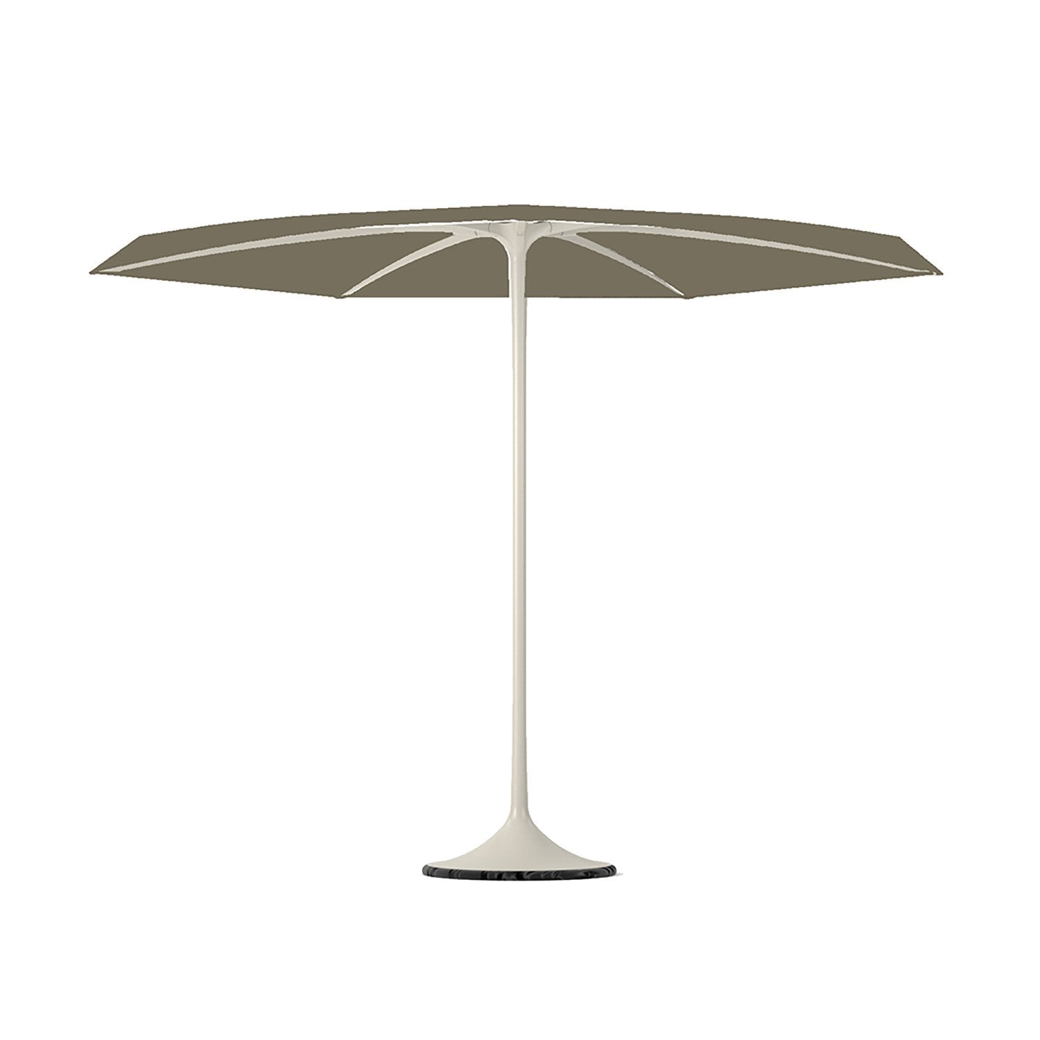 Palma parasol with white frame