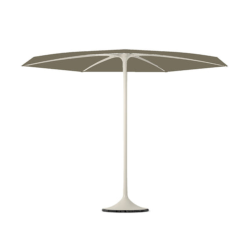 Palma parasol with white frame