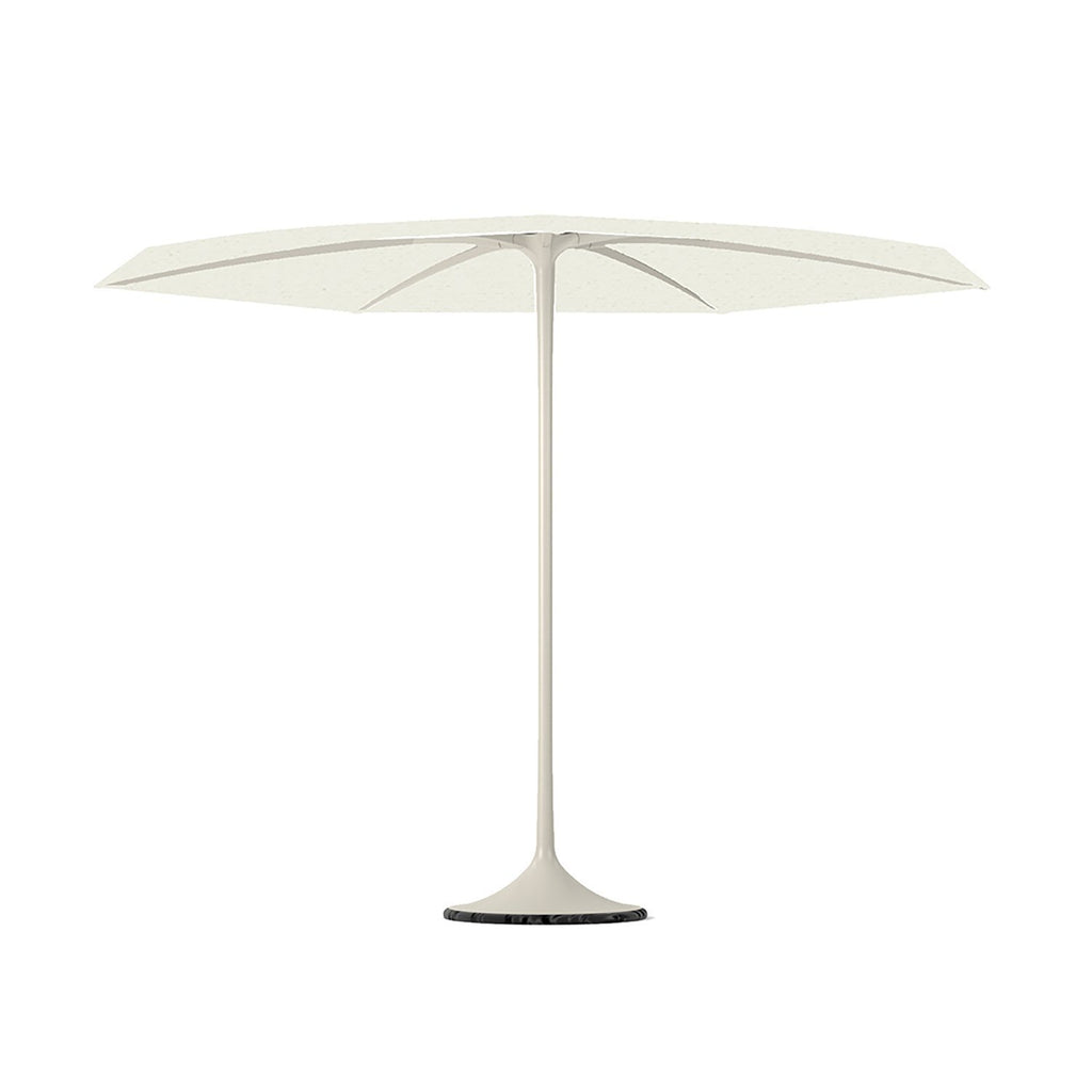 Palma parasol in white