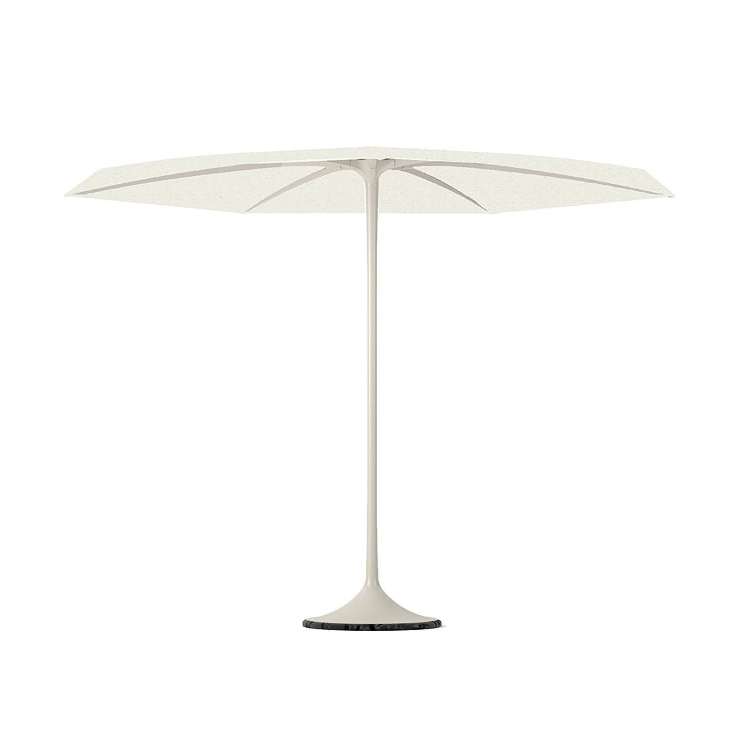 Palma parasol in white