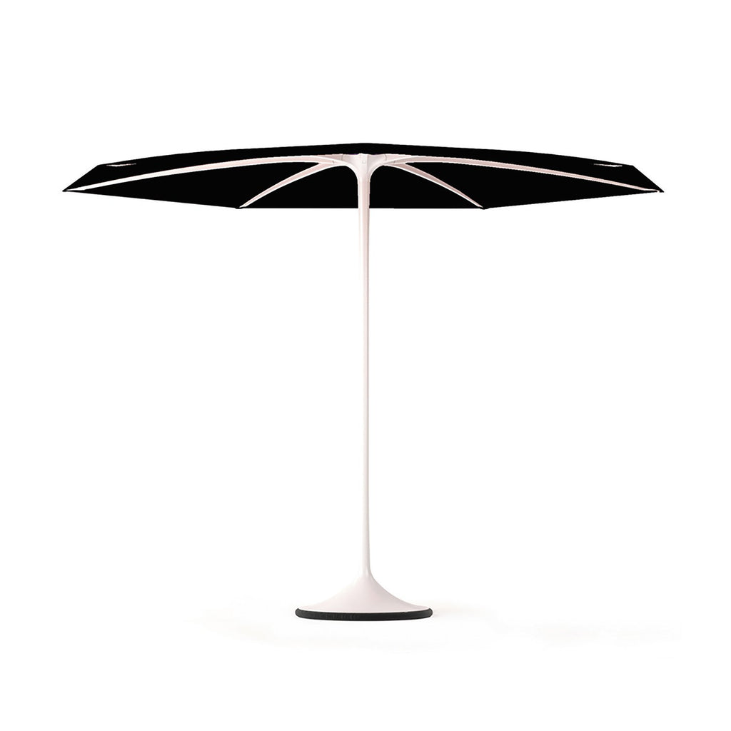 Palma parasol with black canopy and white frame