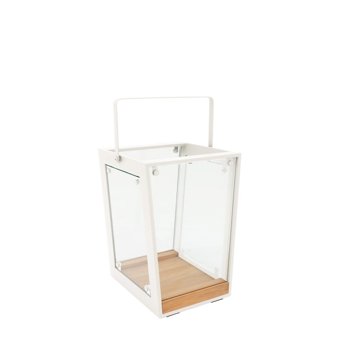 California White Lantern