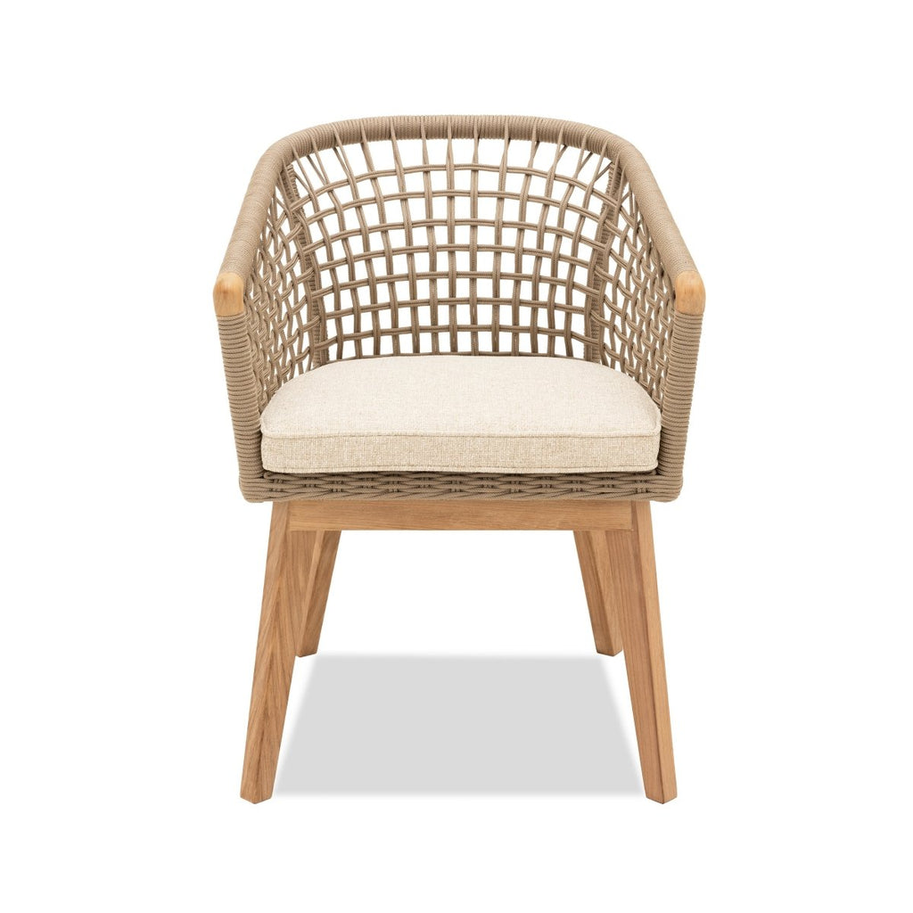 Pimlico Club Dining | Carver Chair